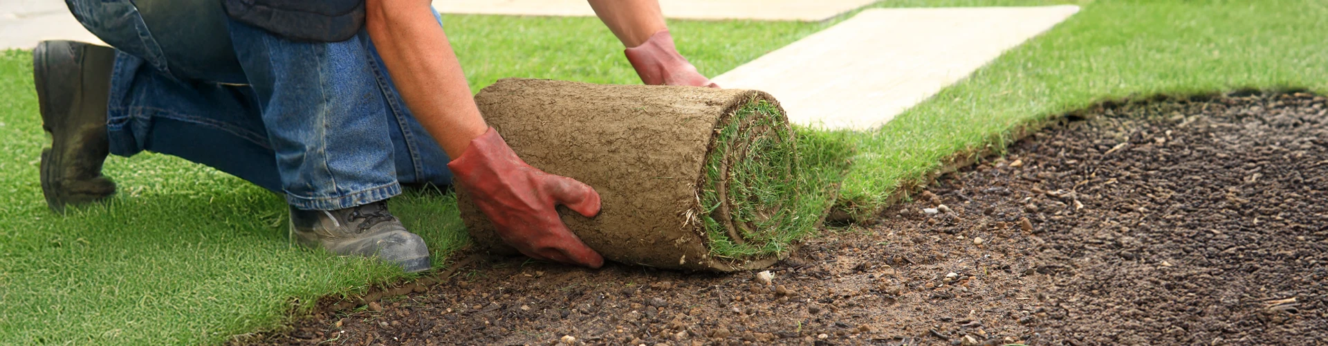 Création paysagère à Sainte-Maxime